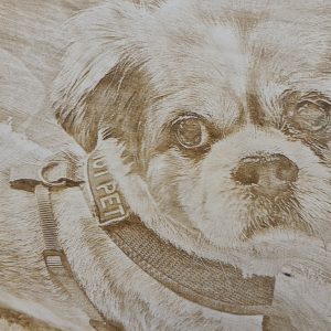 Personalised Pet Portrait Engraving Dog Engraved into wood