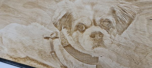 Personalised Pet Portrait Engraving Dog Engraved into wood